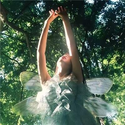泡芙小姐第七季